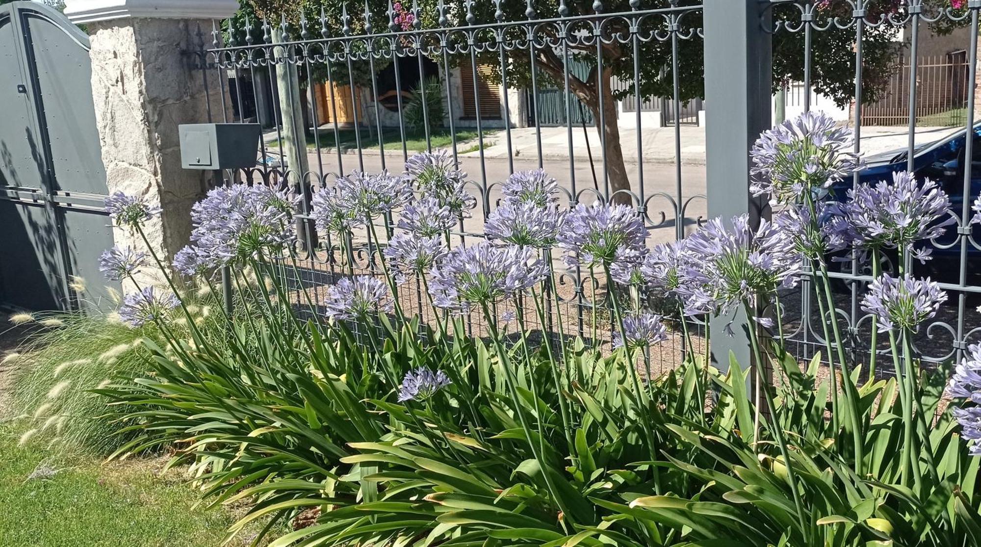 Oasis Cochera Opcional Bahía Blanca Pokoj fotografie